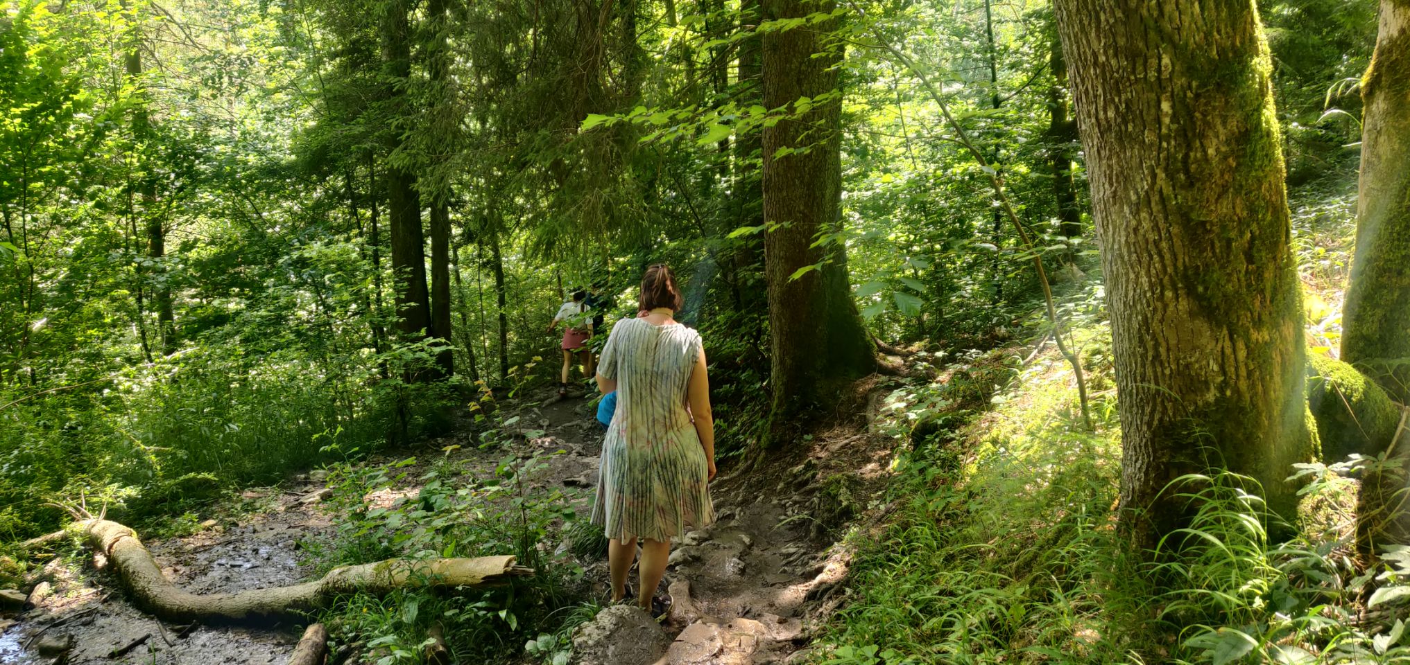 Foto bij Bonndorf im Schwarzwald