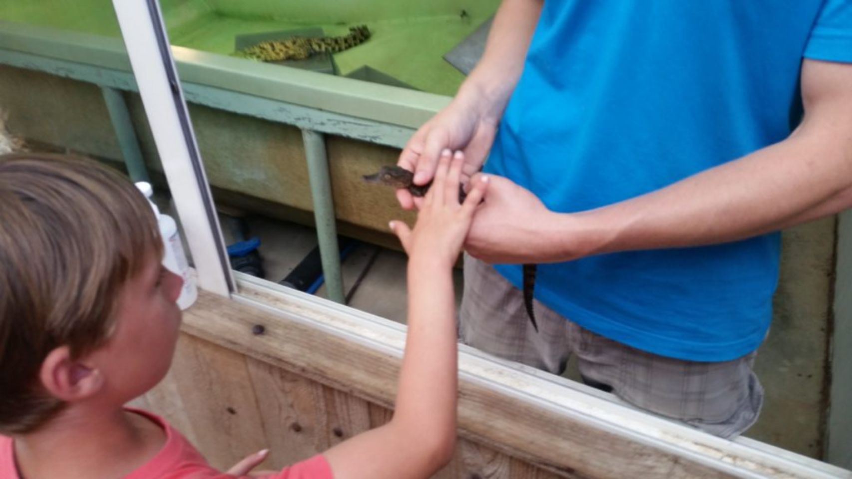 Foto bij La Ferme aux Crocodiles - Réserve tropicale