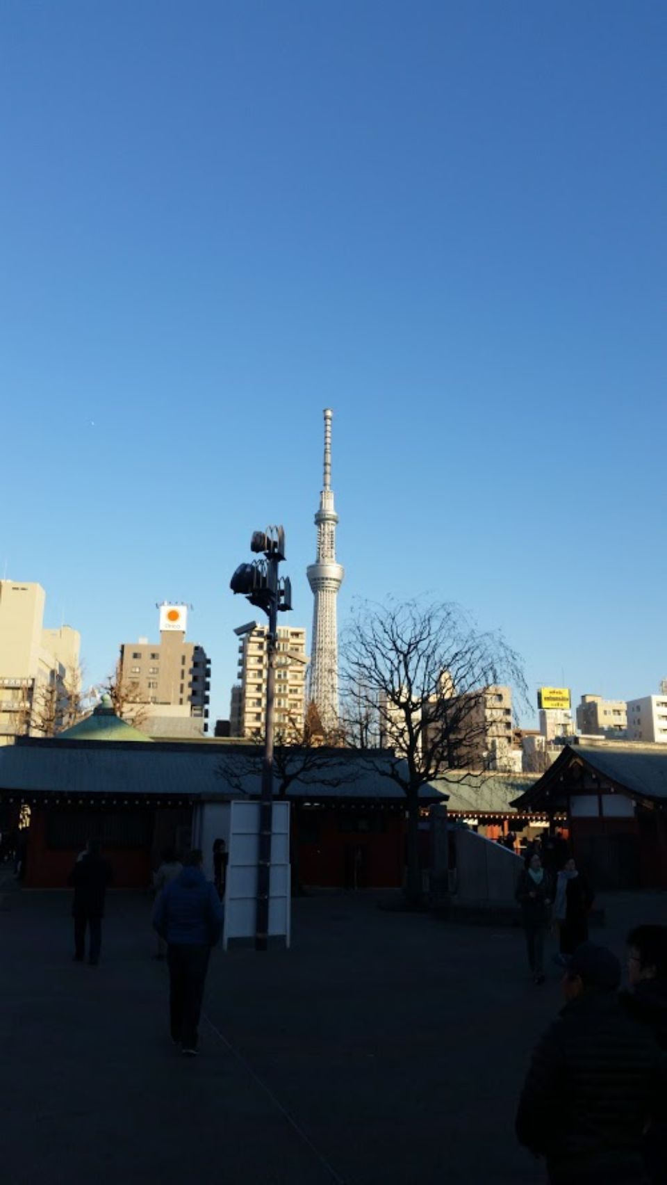 Foto bij Taito