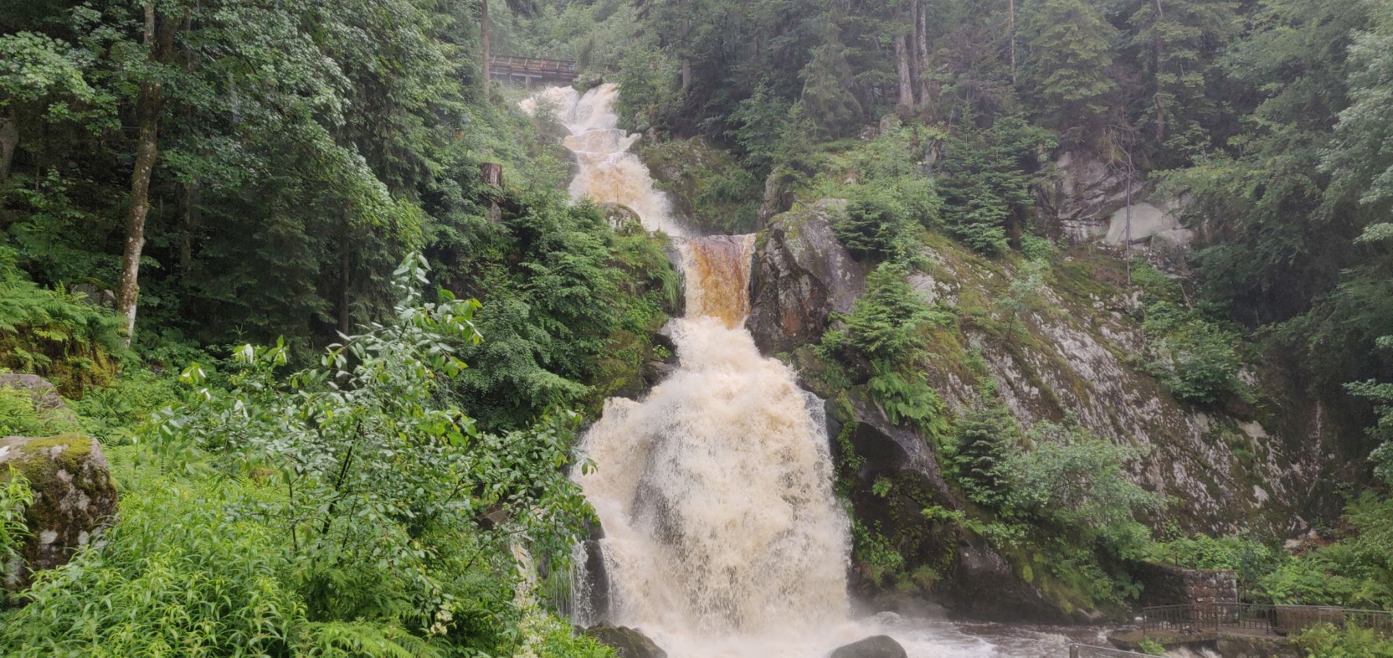 Foto bij Triberg im Schwarzwald