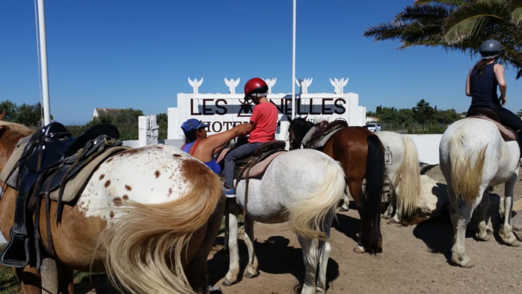 Foto bij La Ferme aux Crocodiles - Réserve tropicale