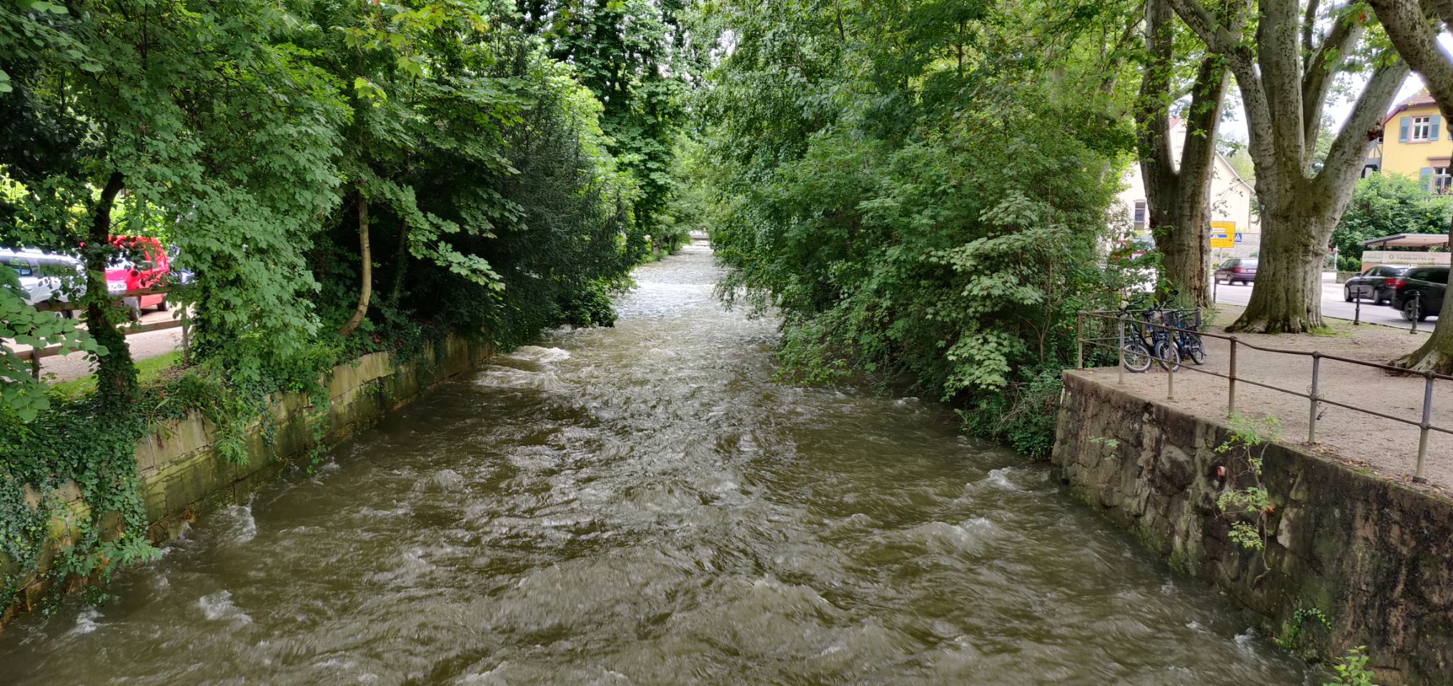 Foto bij Staufen im Breisgau