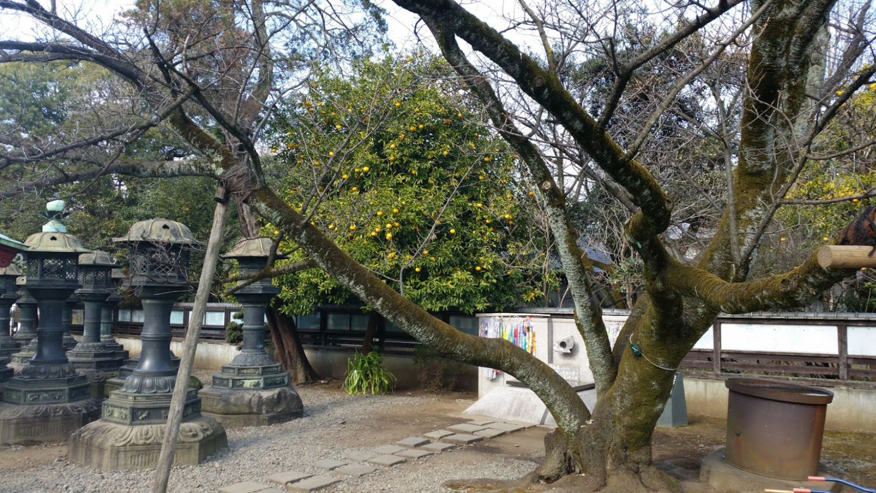 Foto bij Ueno Park