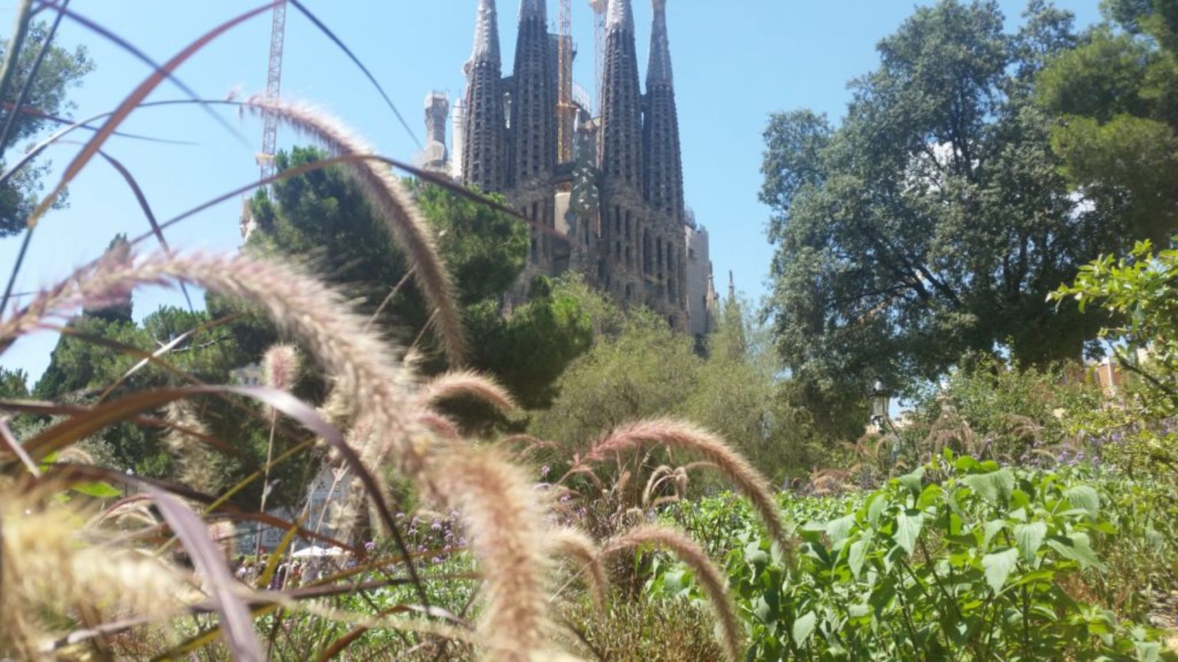 Foto bij Barcelona (Spanje)
