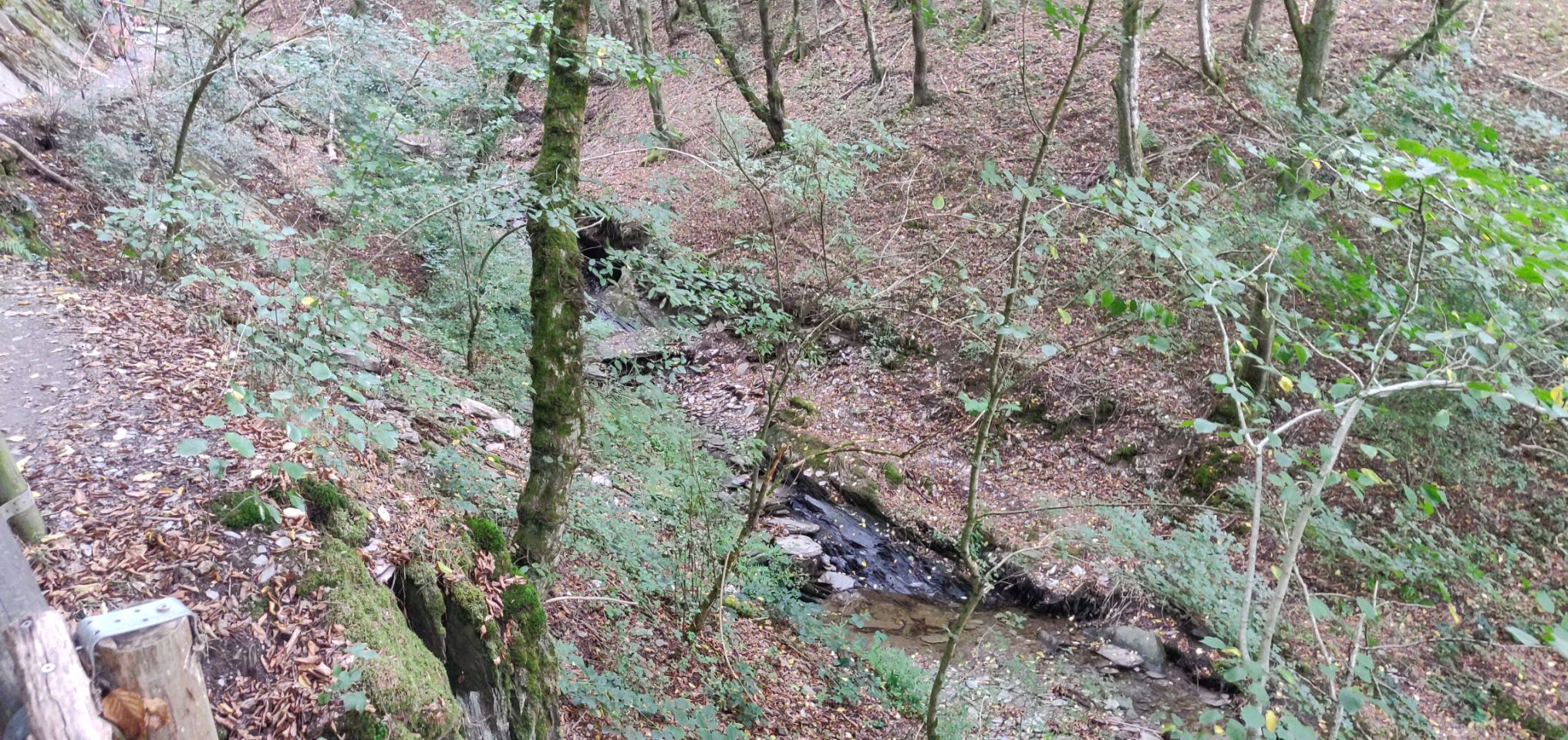 Foto bij Mörsdorf