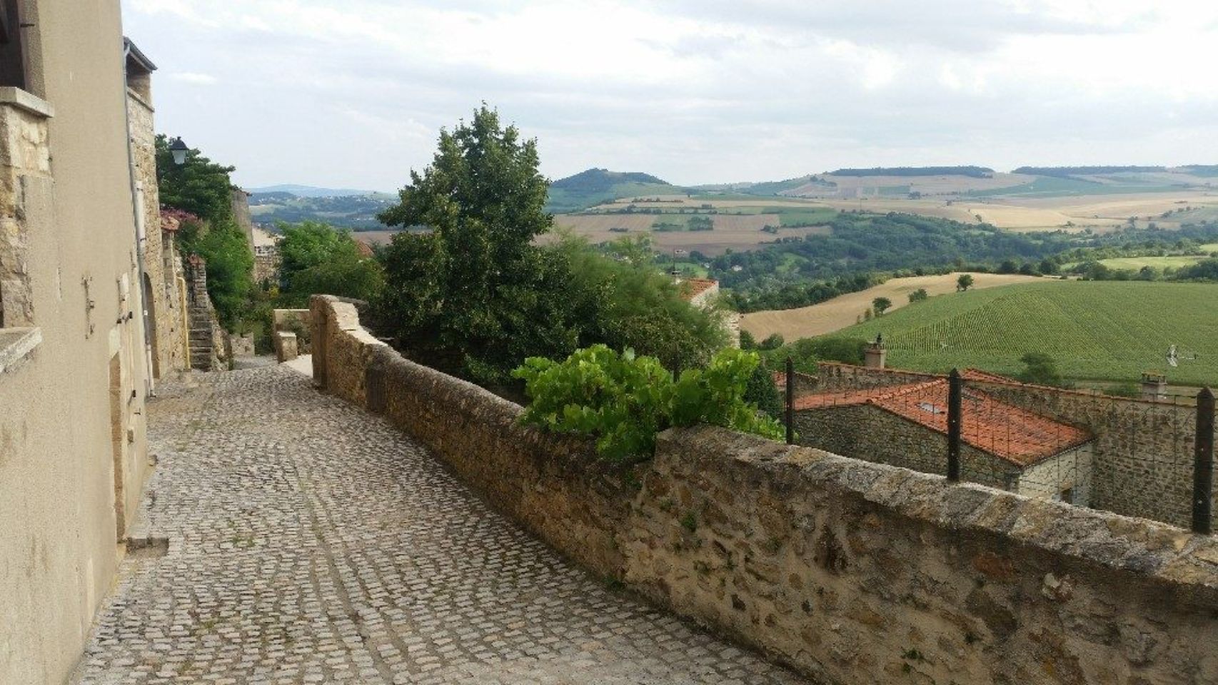 Foto bij Montpeyroux