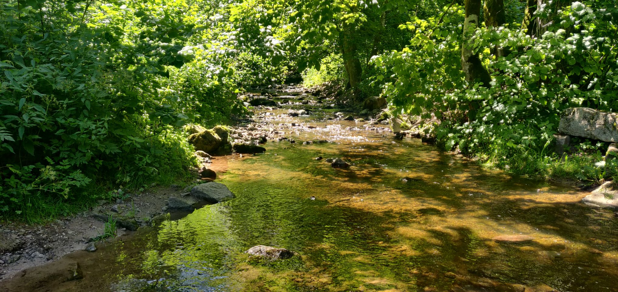 Foto bij Bonndorf im Schwarzwald