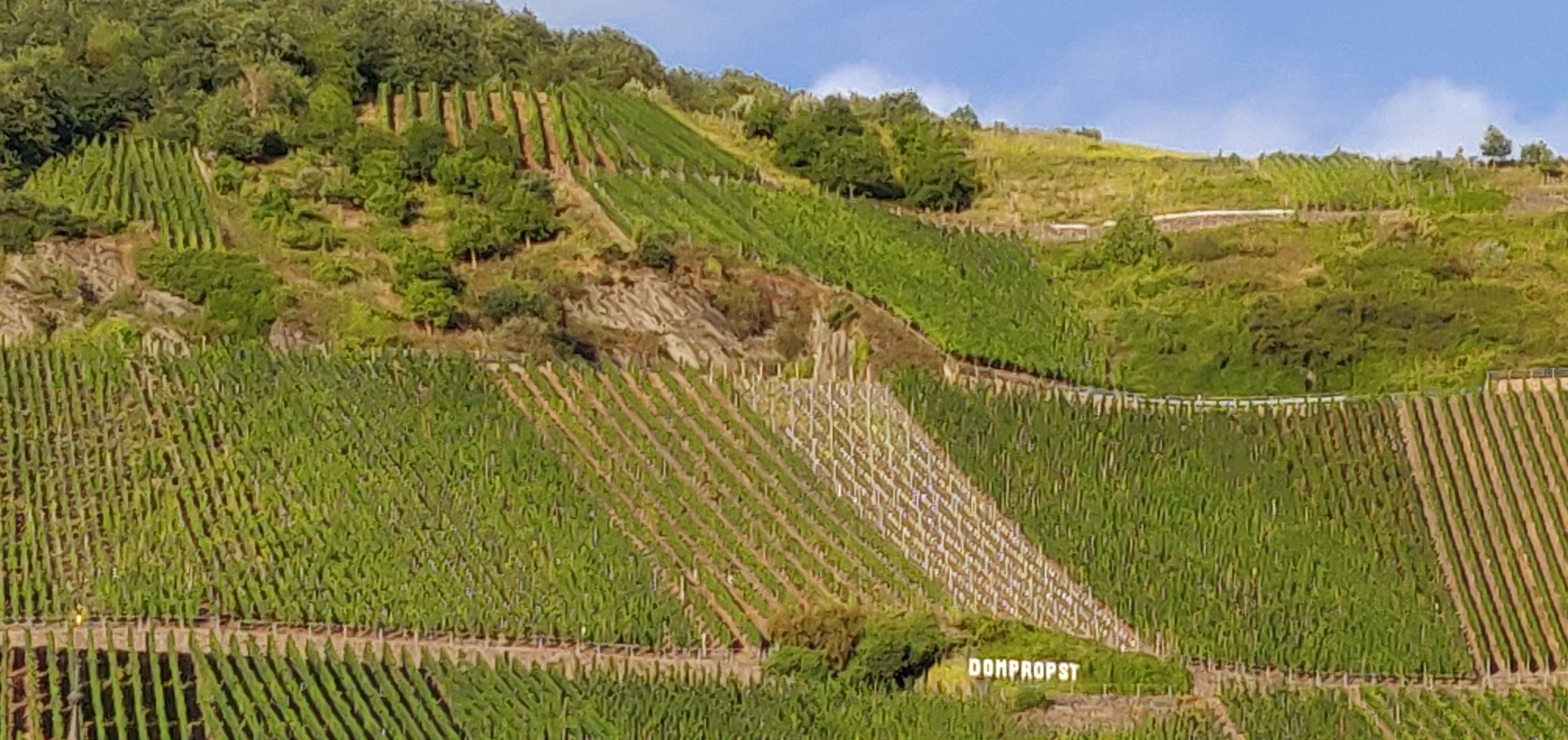 Foto bij Graach an der Mosel