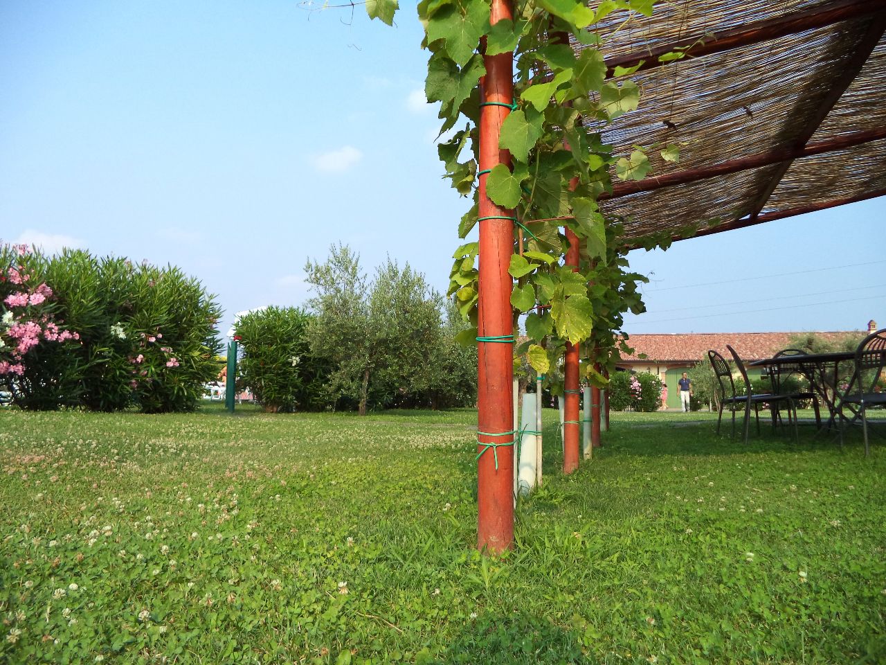 Foto bij Bardolino