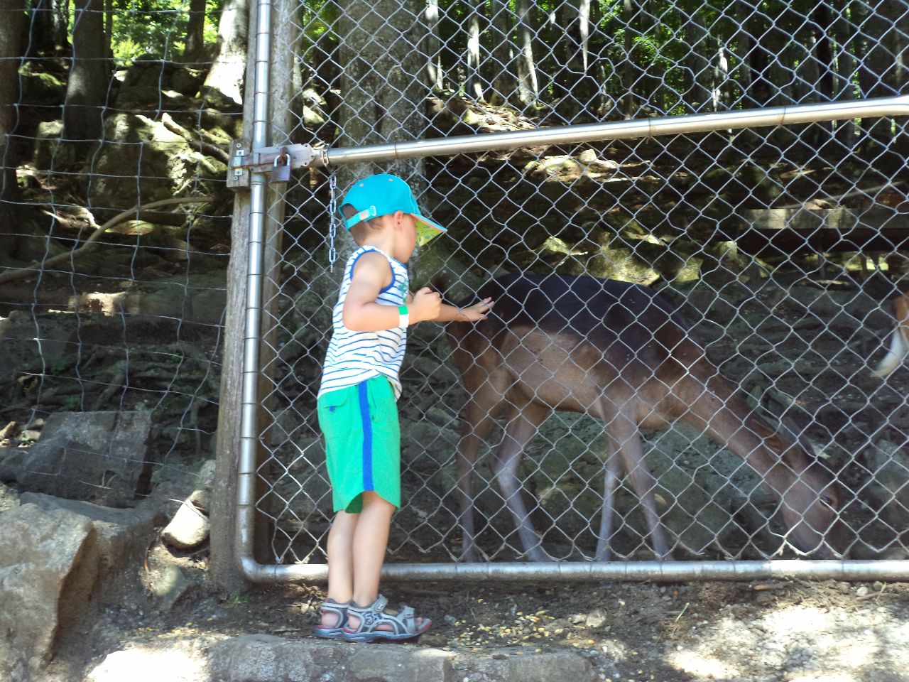 Foto bij Oberried