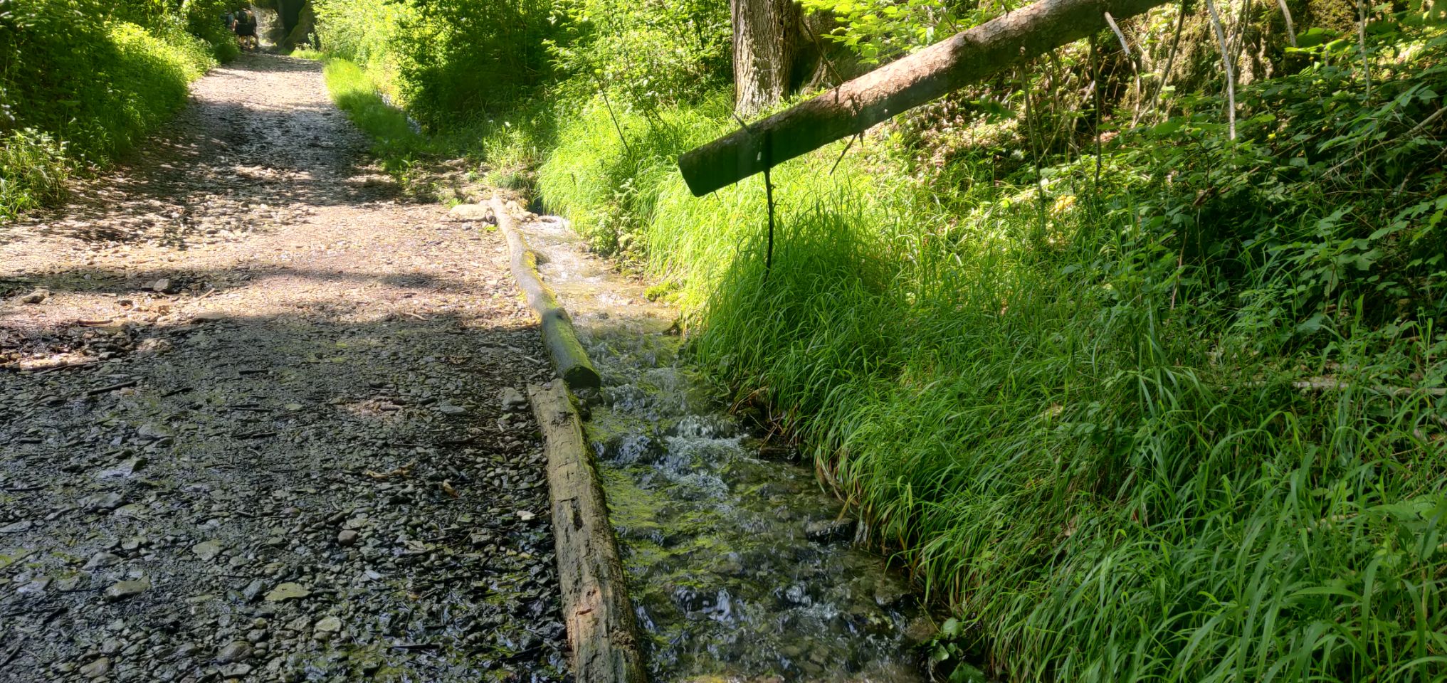 Foto bij Bonndorf im Schwarzwald
