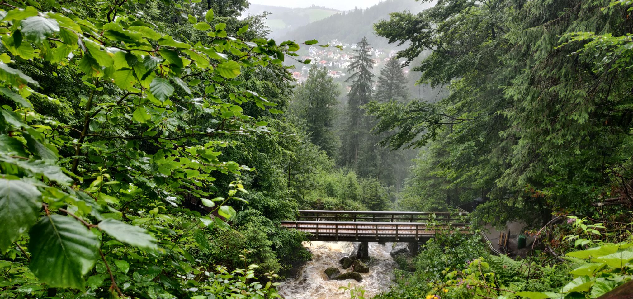 Foto bij Triberg im Schwarzwald