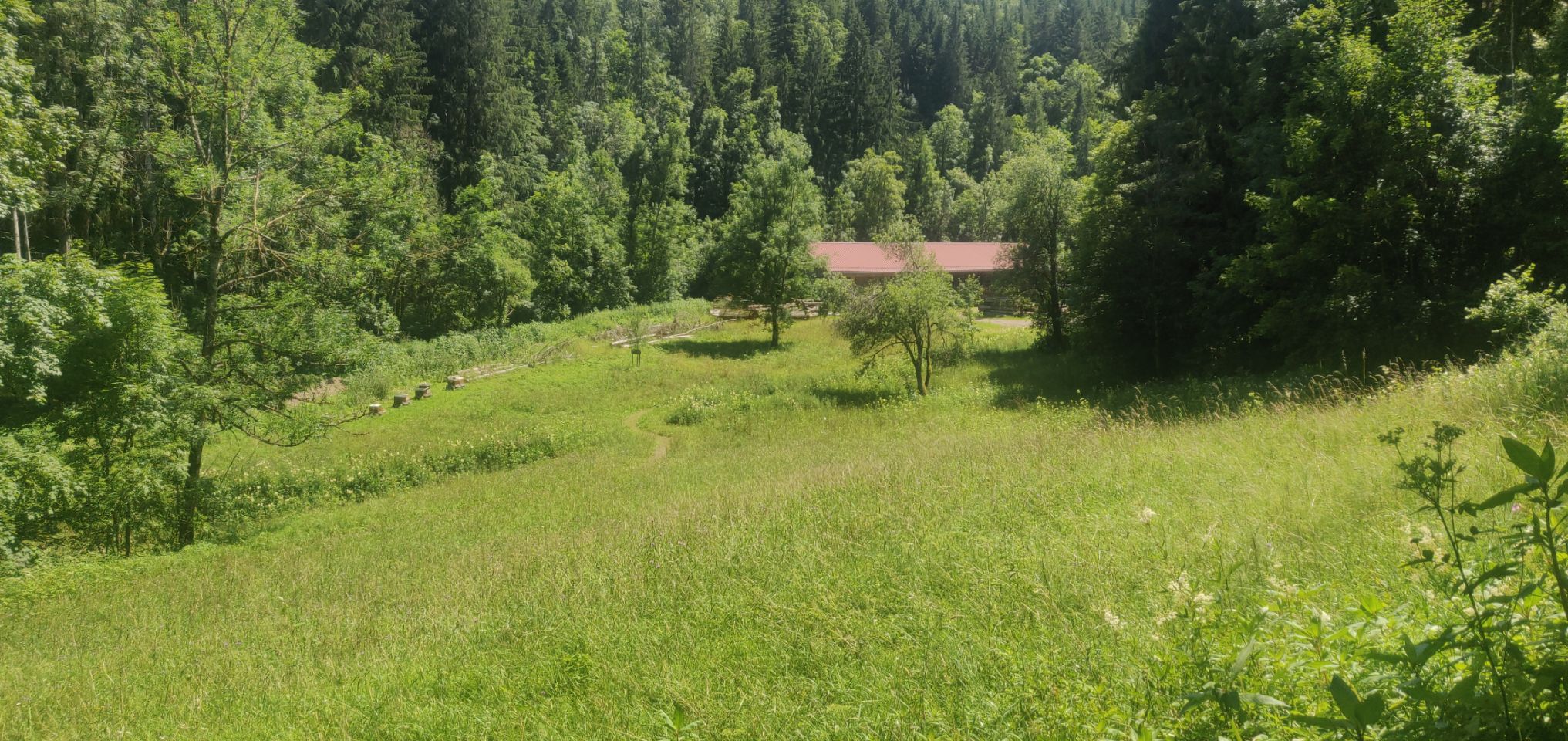 Foto bij Bonndorf im Schwarzwald