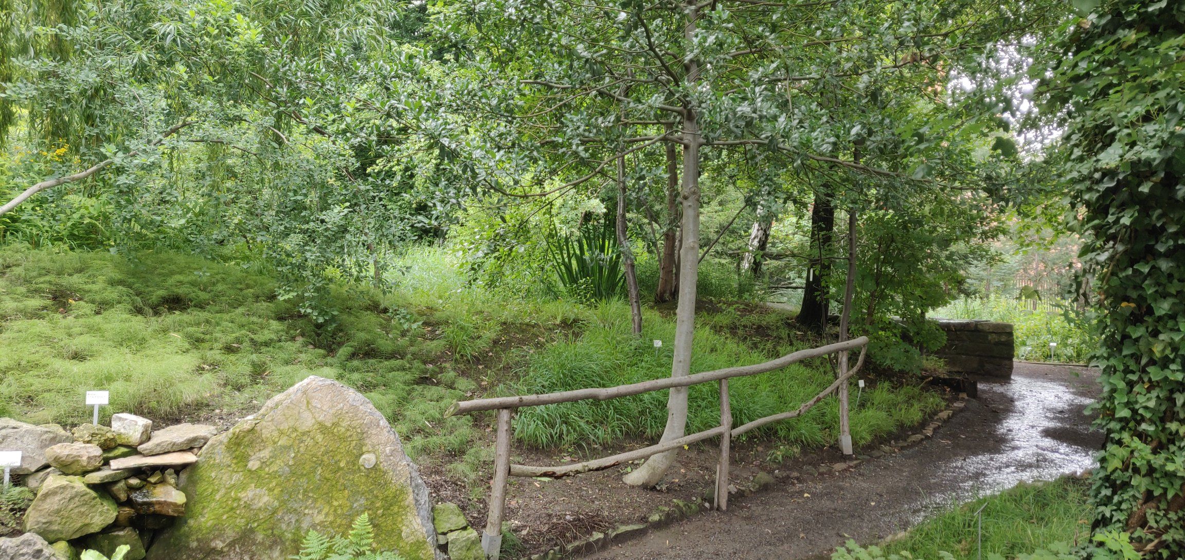 Foto bij Gera