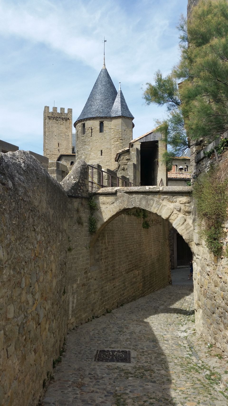 Foto bij Carcassonne