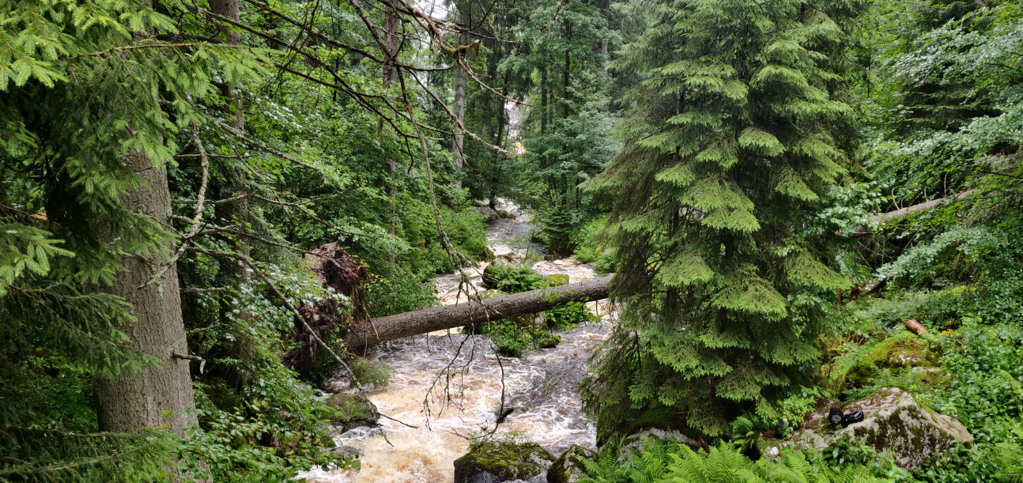 Foto bij Triberg im Schwarzwald