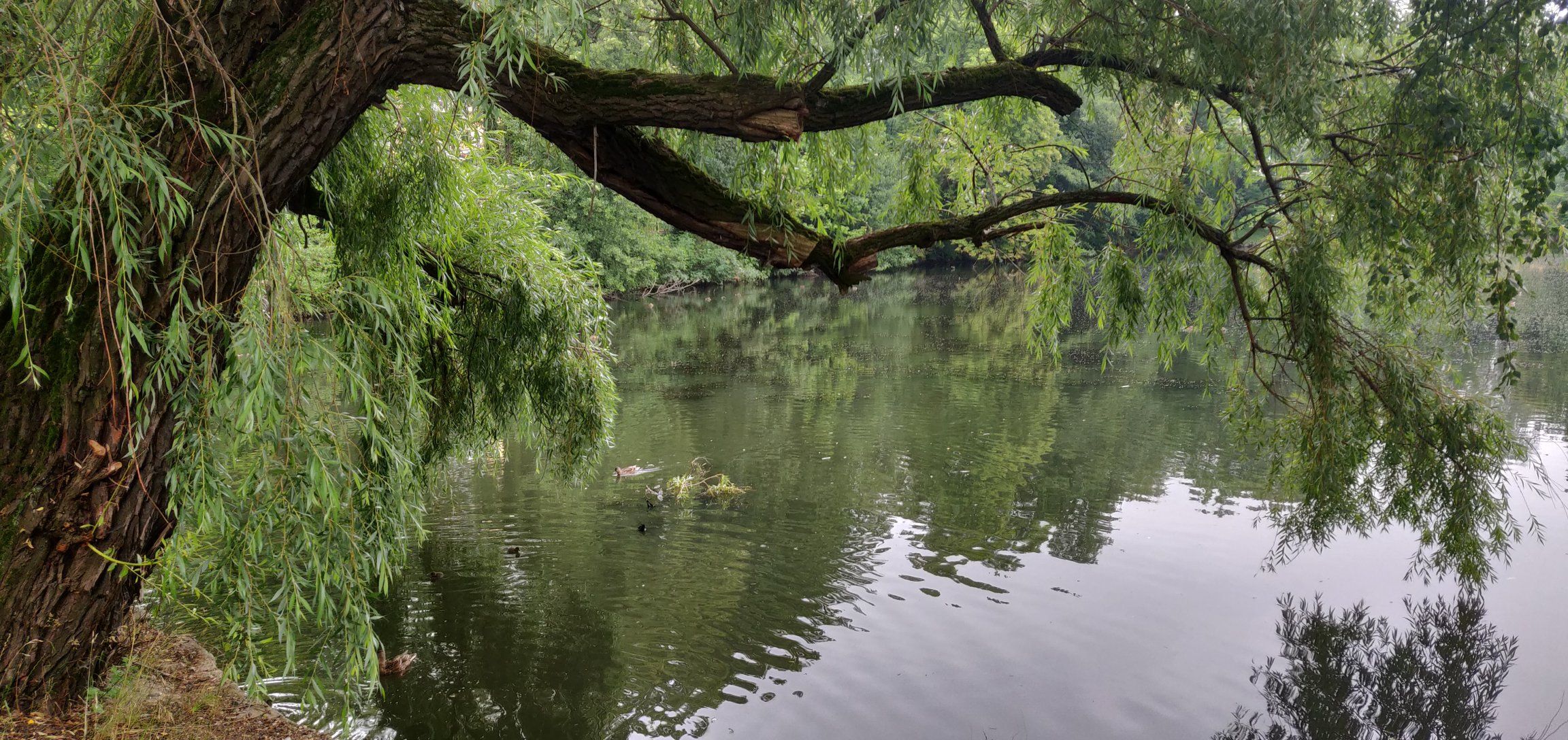 Foto bij Freiberg