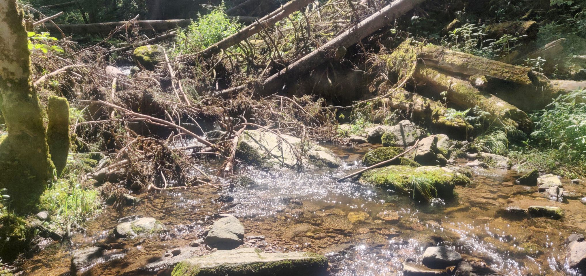 Foto bij Bonndorf im Schwarzwald