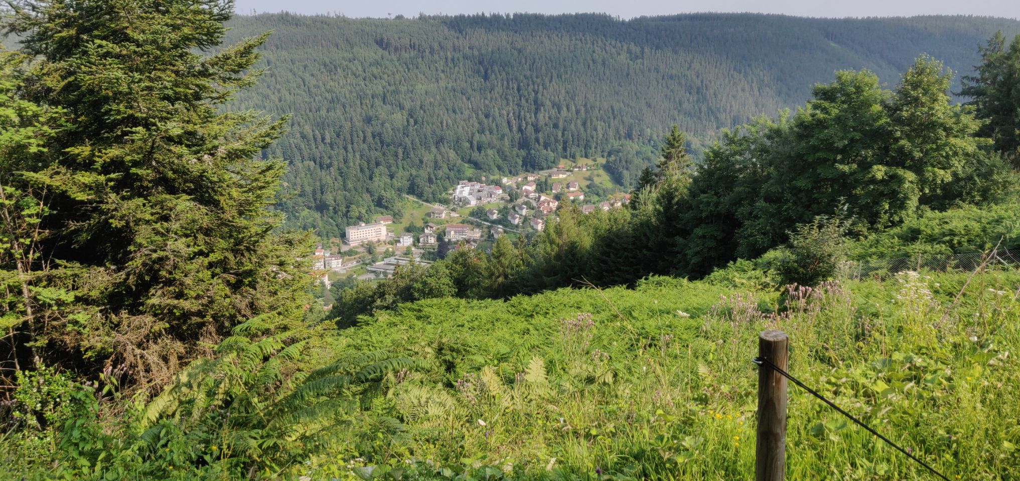 Foto bij Bad Wildbad