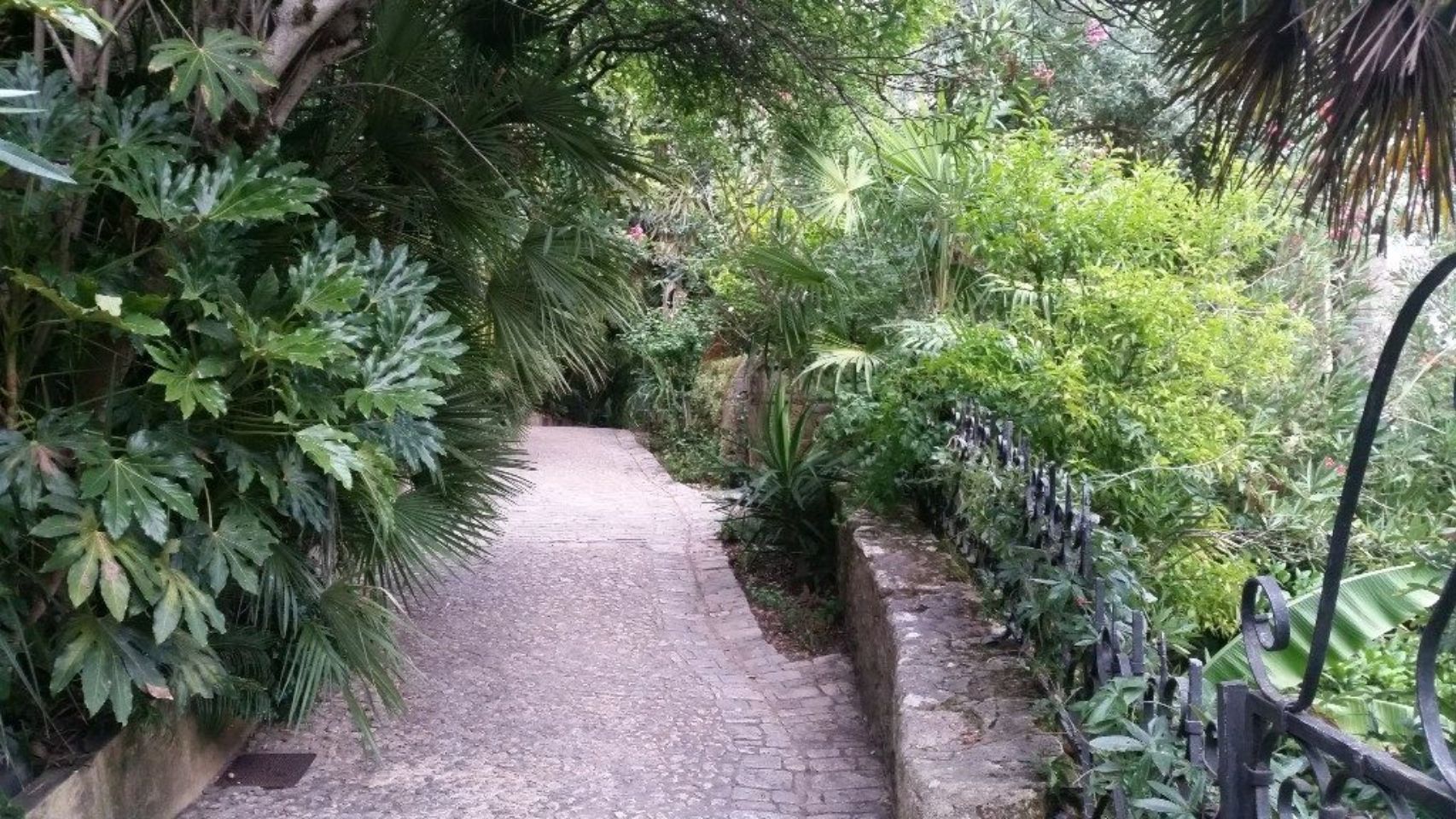 Foto bij La Roque-Gageac