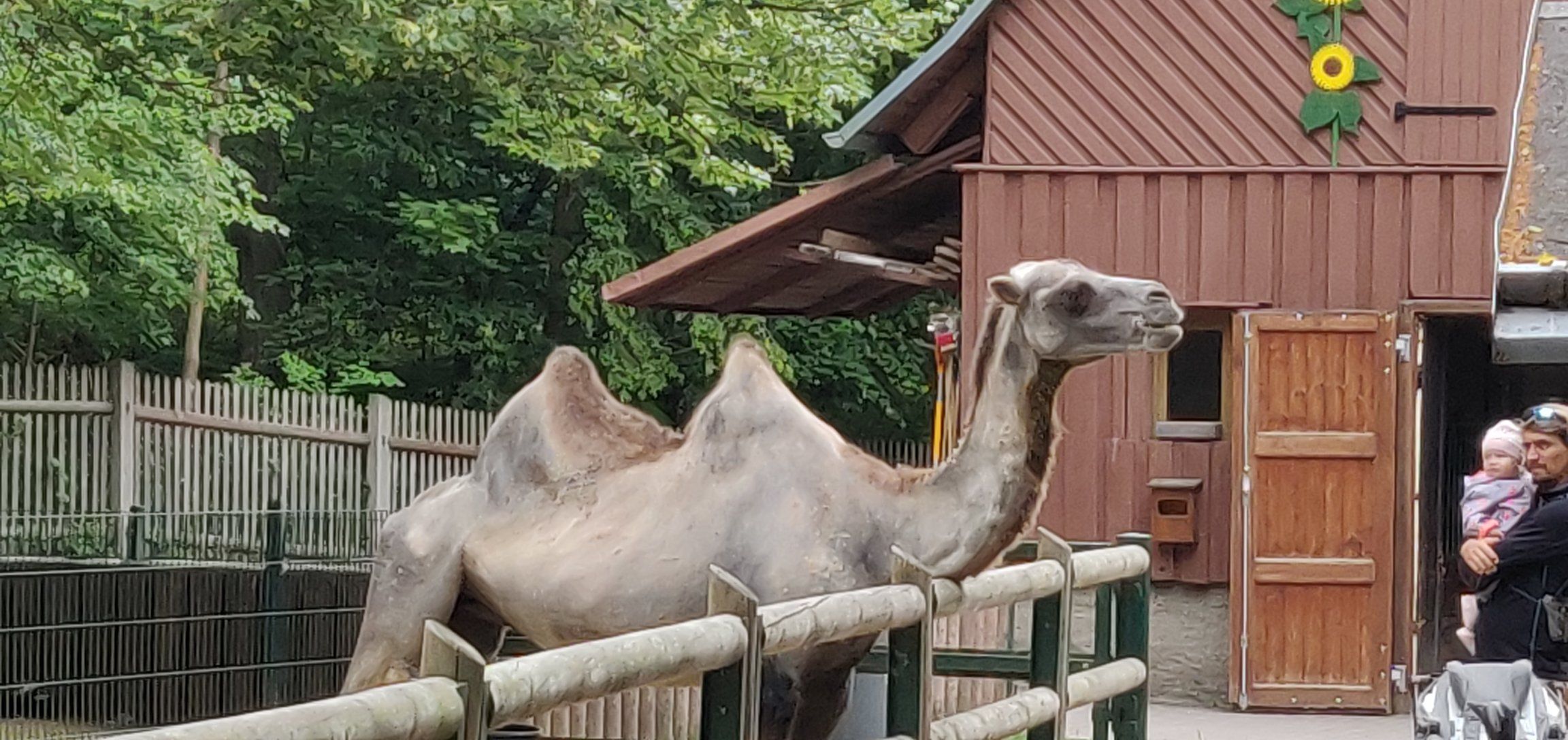 Foto bij Gera