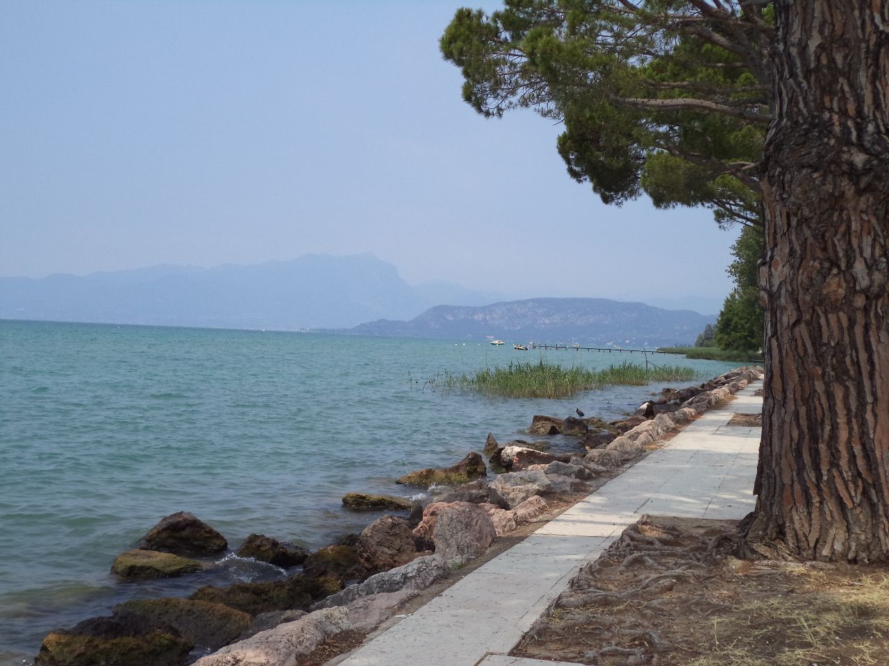 Foto bij Bardolino