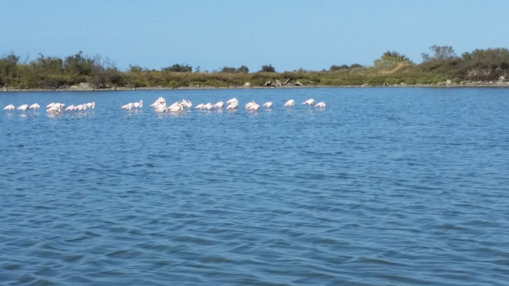 Foto bij Saintes Maries de la Mer - Capitale de la Camargue