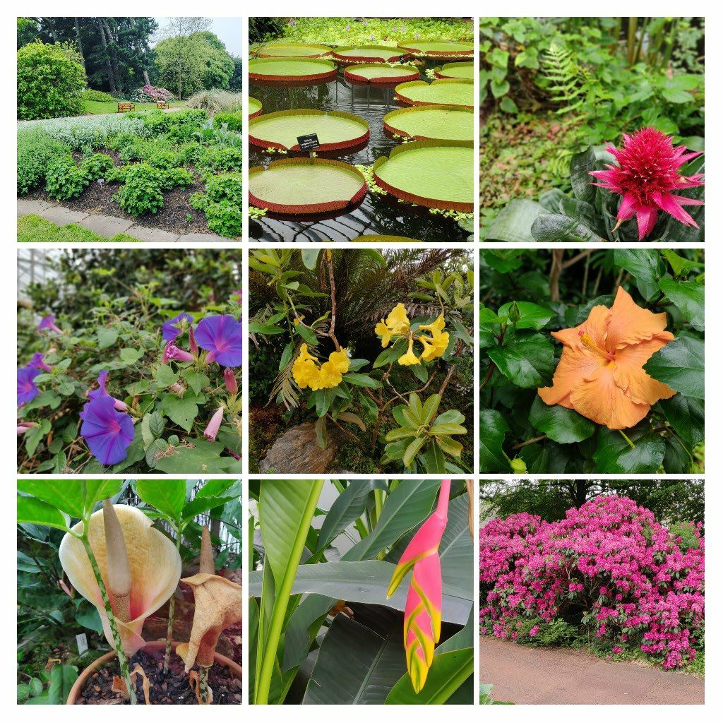 Foto bij Royal Botanic Garden Edinburgh