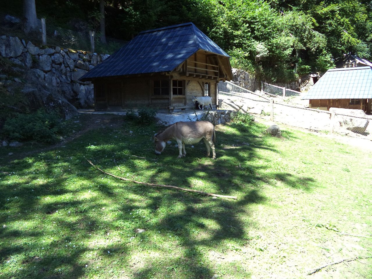 Foto bij Oberried