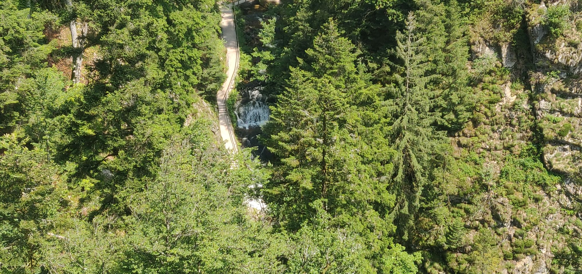 Foto bij Allerheiligen