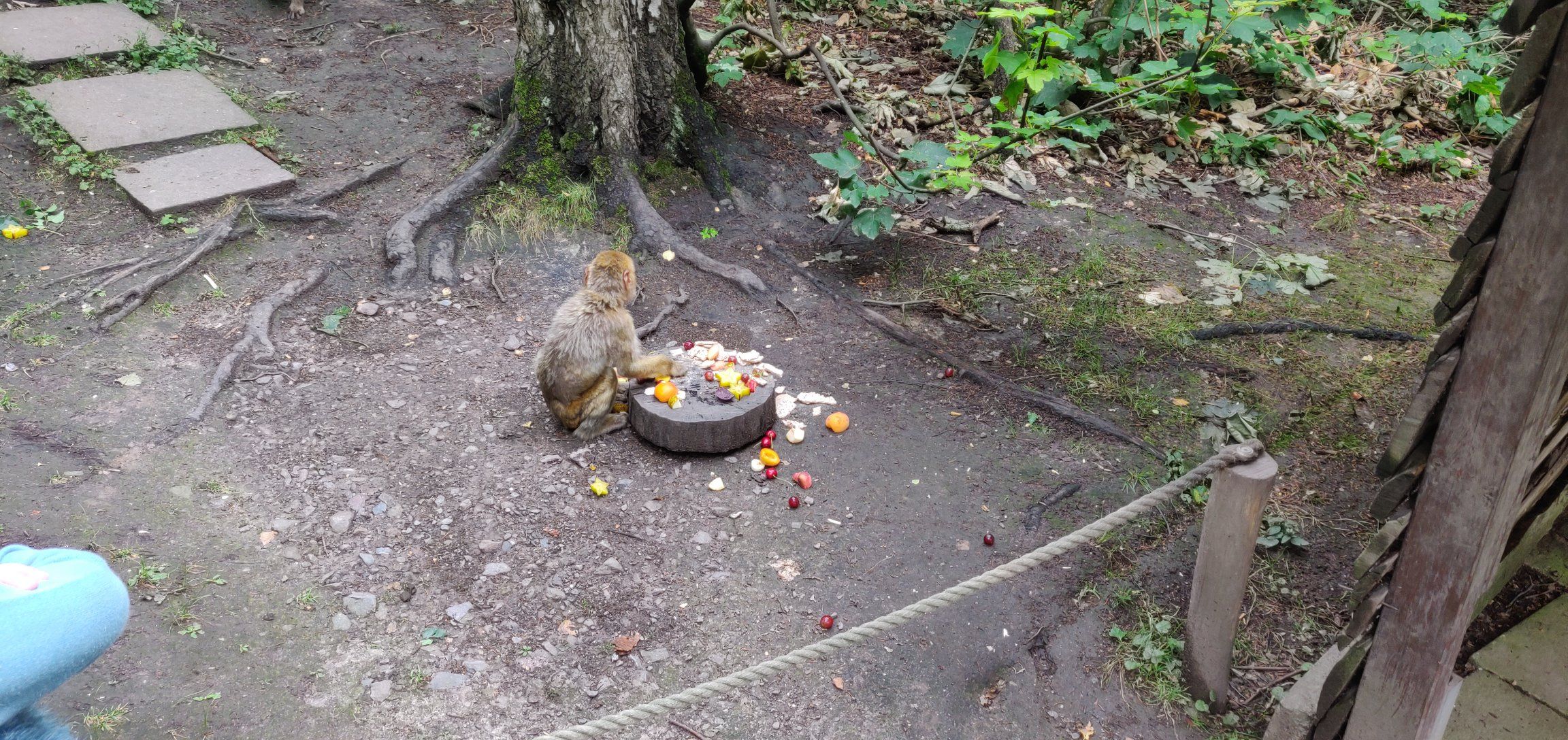 Foto bij Gera