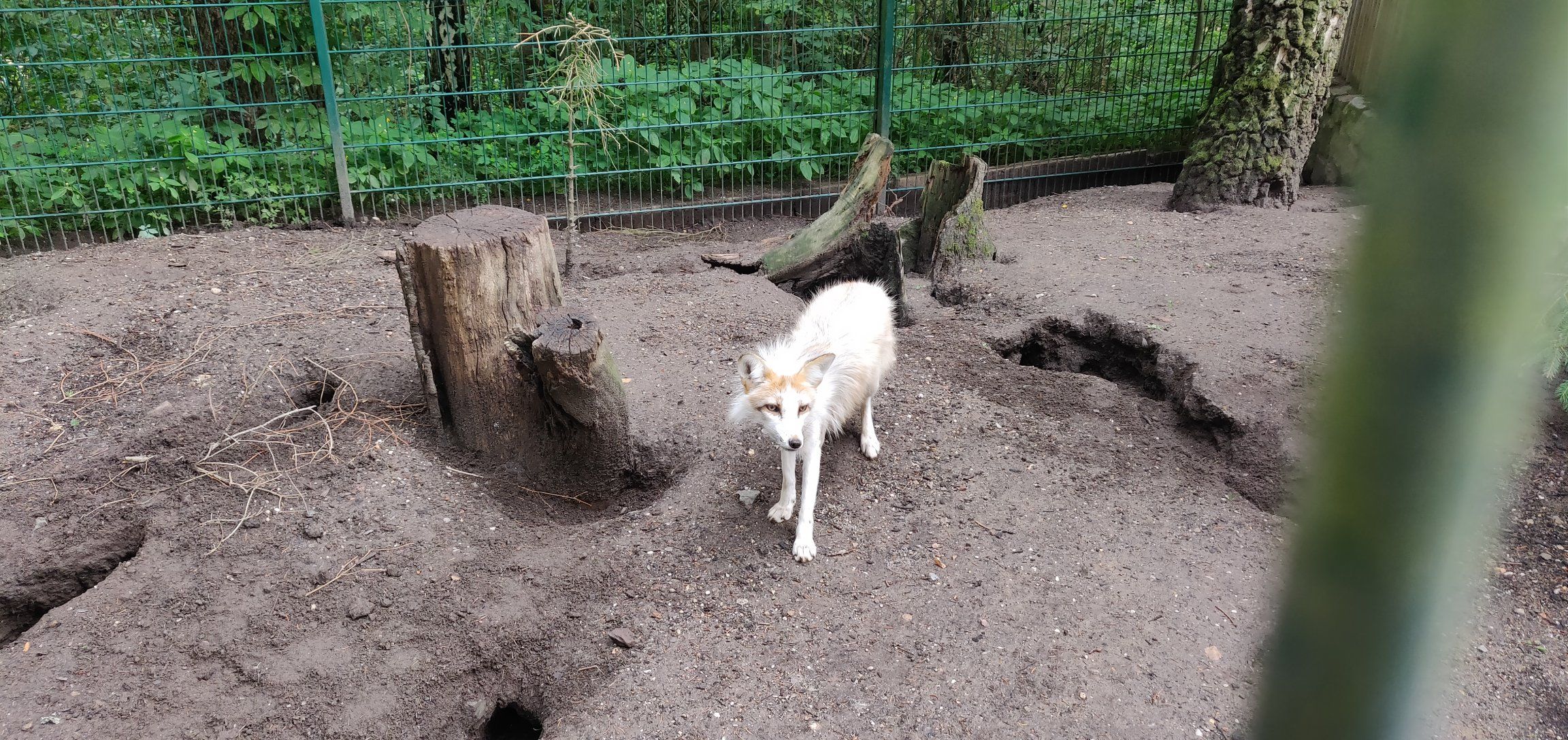 Foto bij Gera