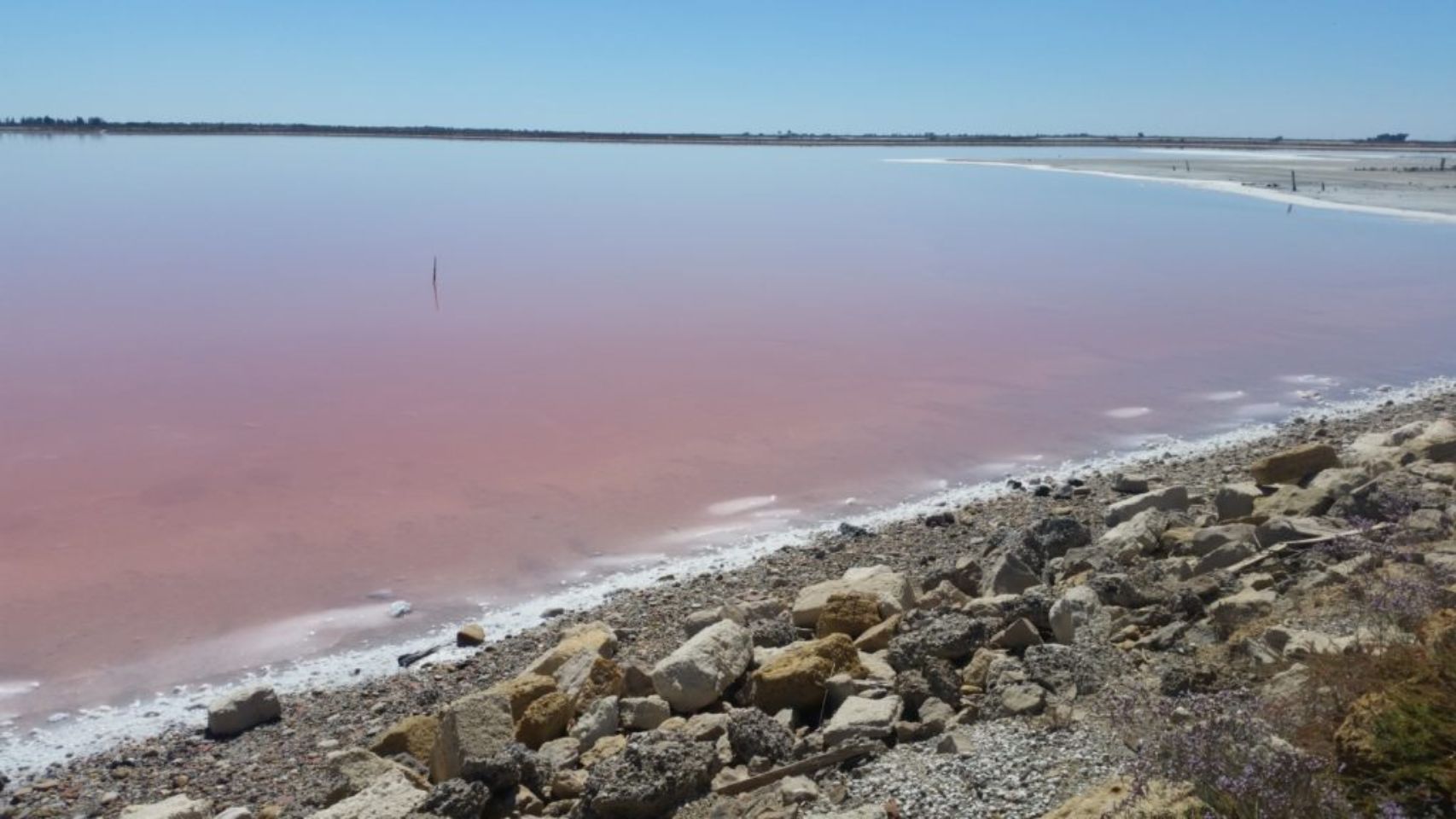Foto bij Le Salin D'Aigues-Mortes