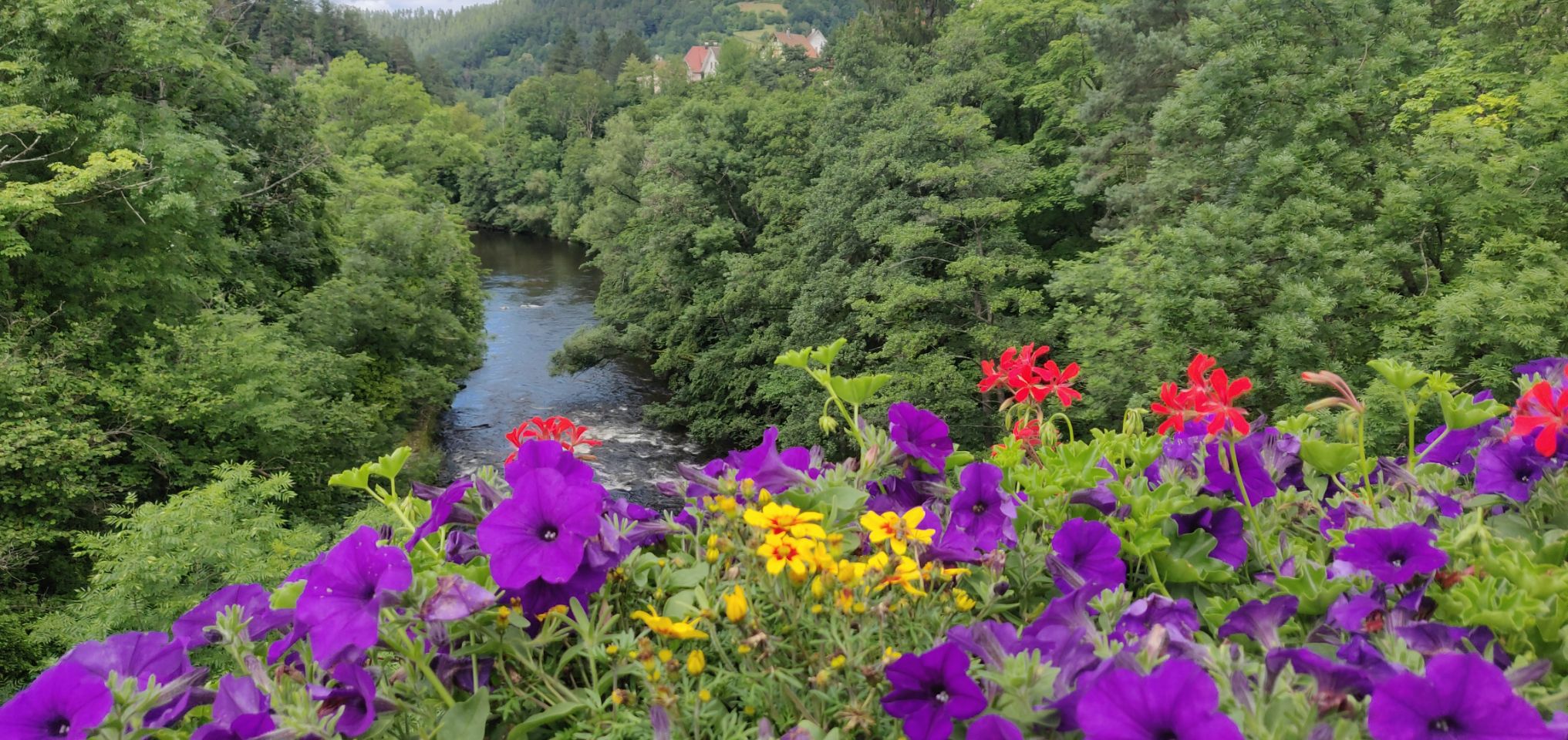 Foto bij Forbach