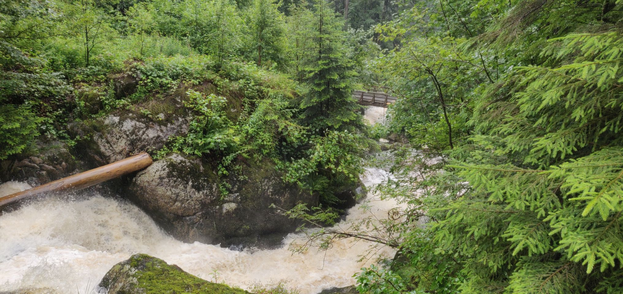 Foto bij Triberg im Schwarzwald