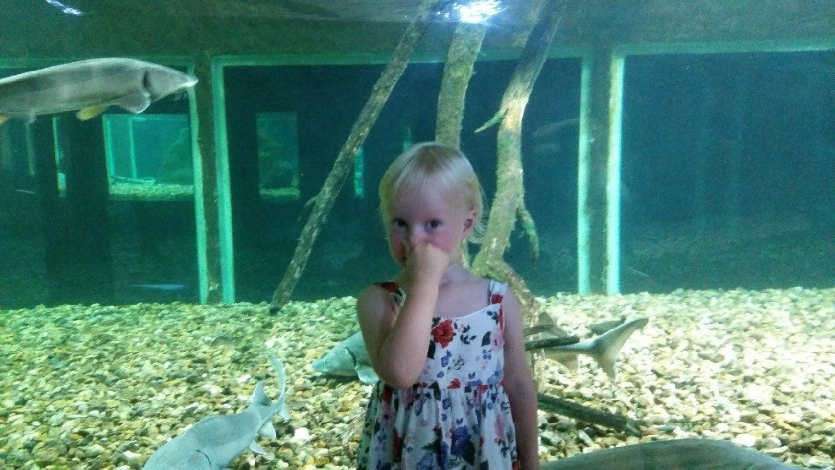Foto bij Grand Aquarium De Touraine