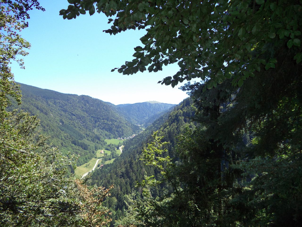 Foto bij Oberried
