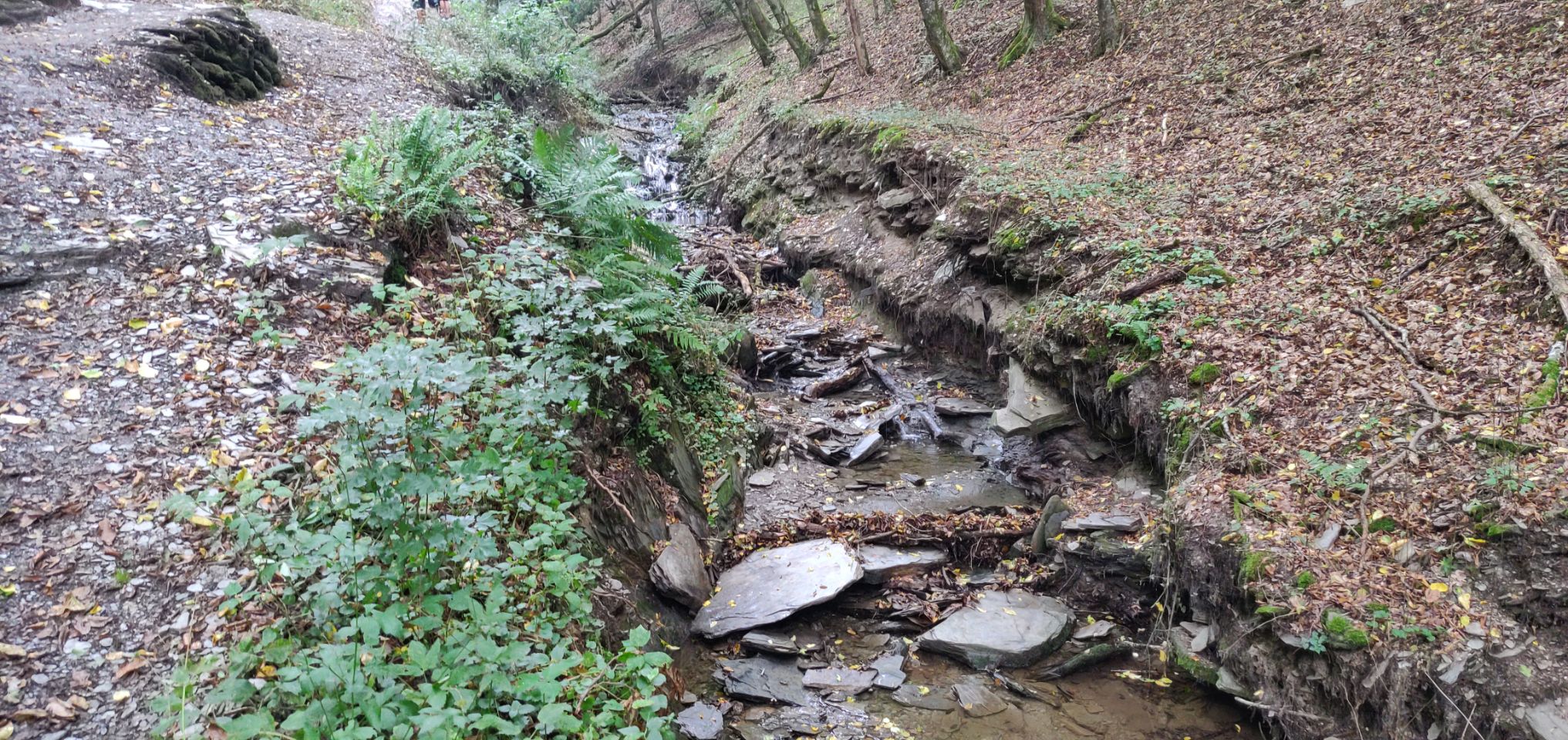 Foto bij Mörsdorf