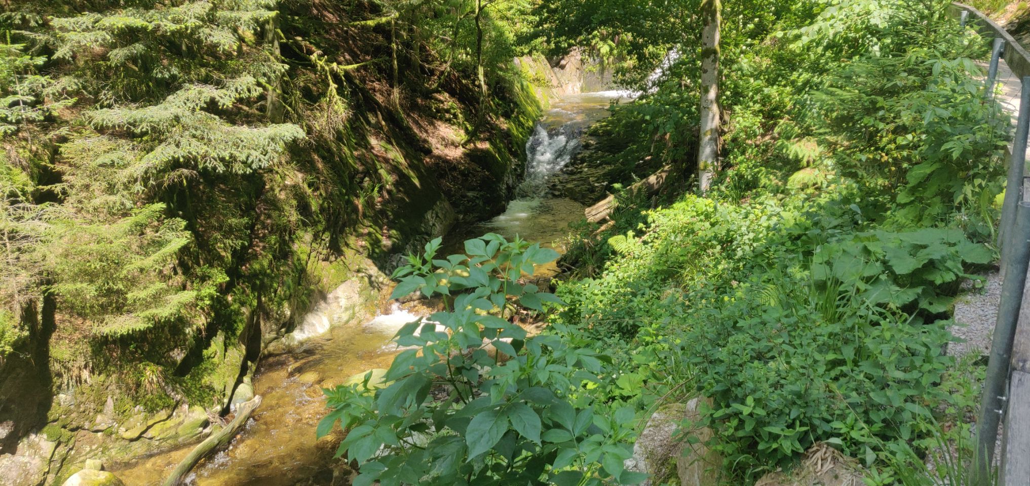 Foto bij Allerheiligen