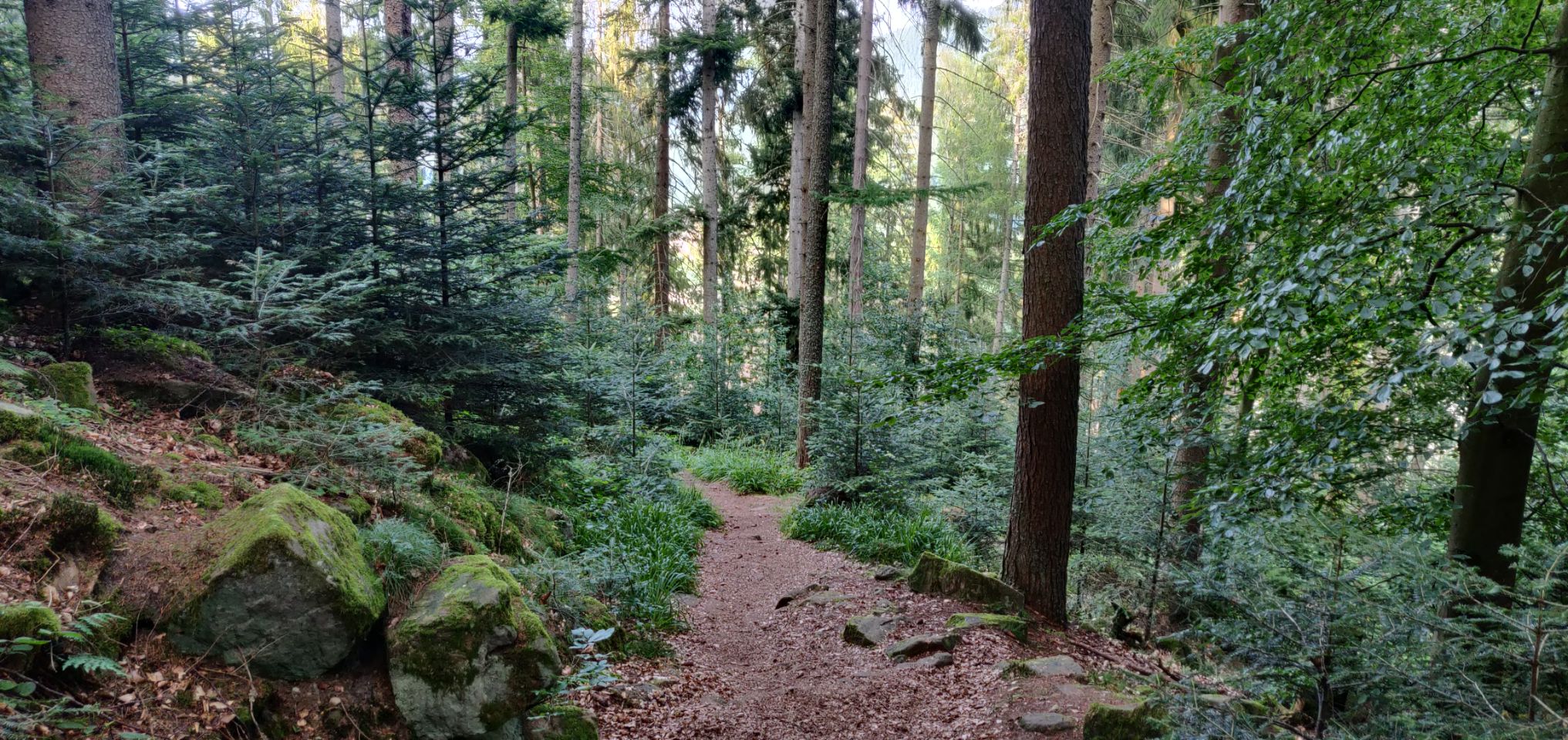 Foto bij Bad Wildbad