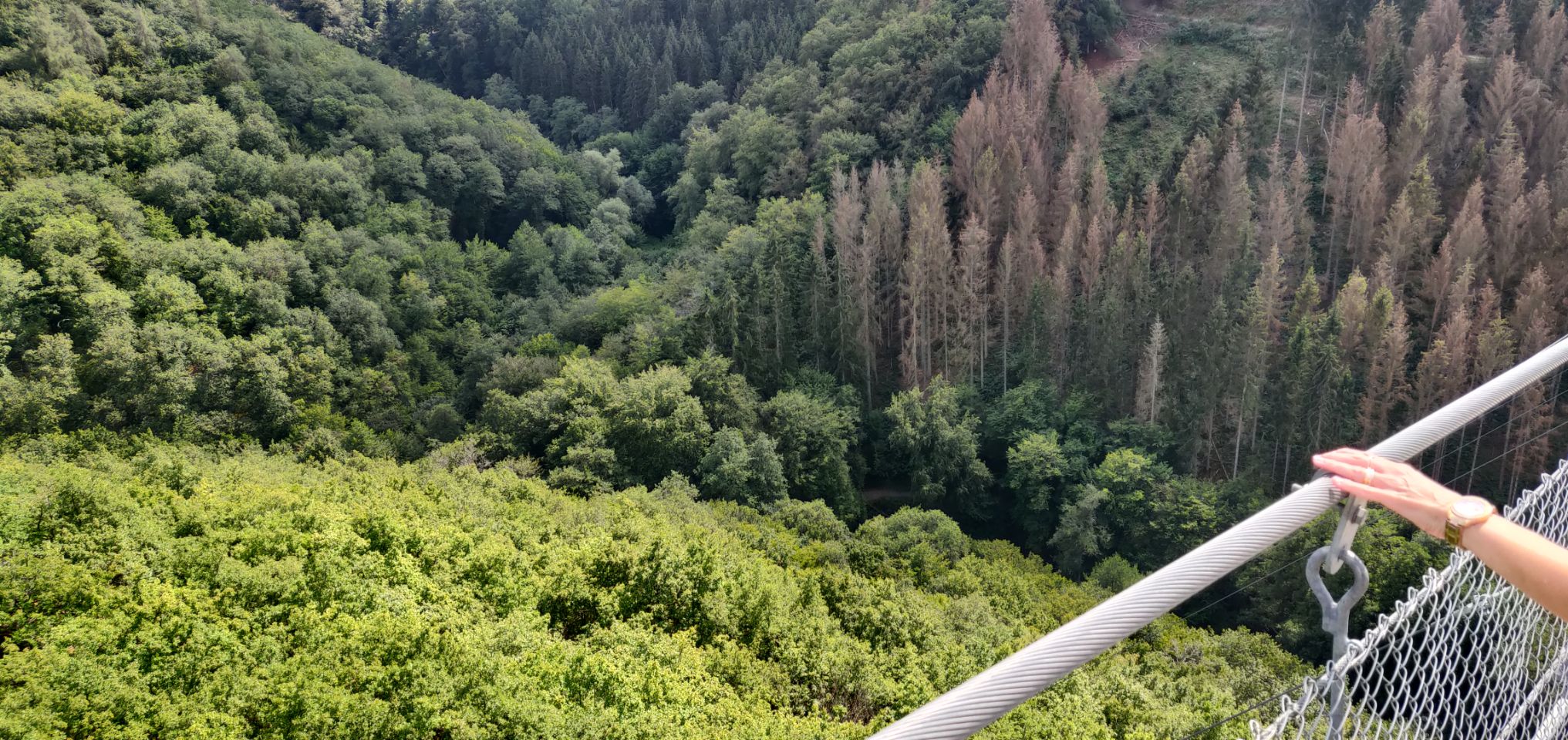Foto bij Mörsdorf