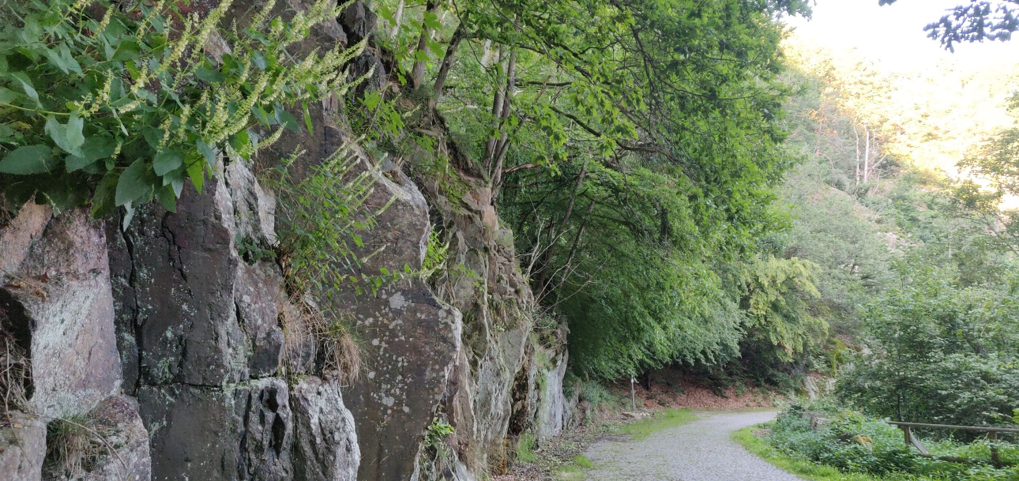 Foto bij Forbach