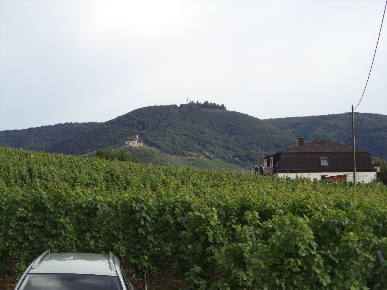 Foto bij Graach an der Mosel