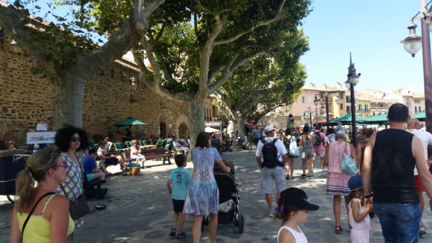 Foto bij Collioure