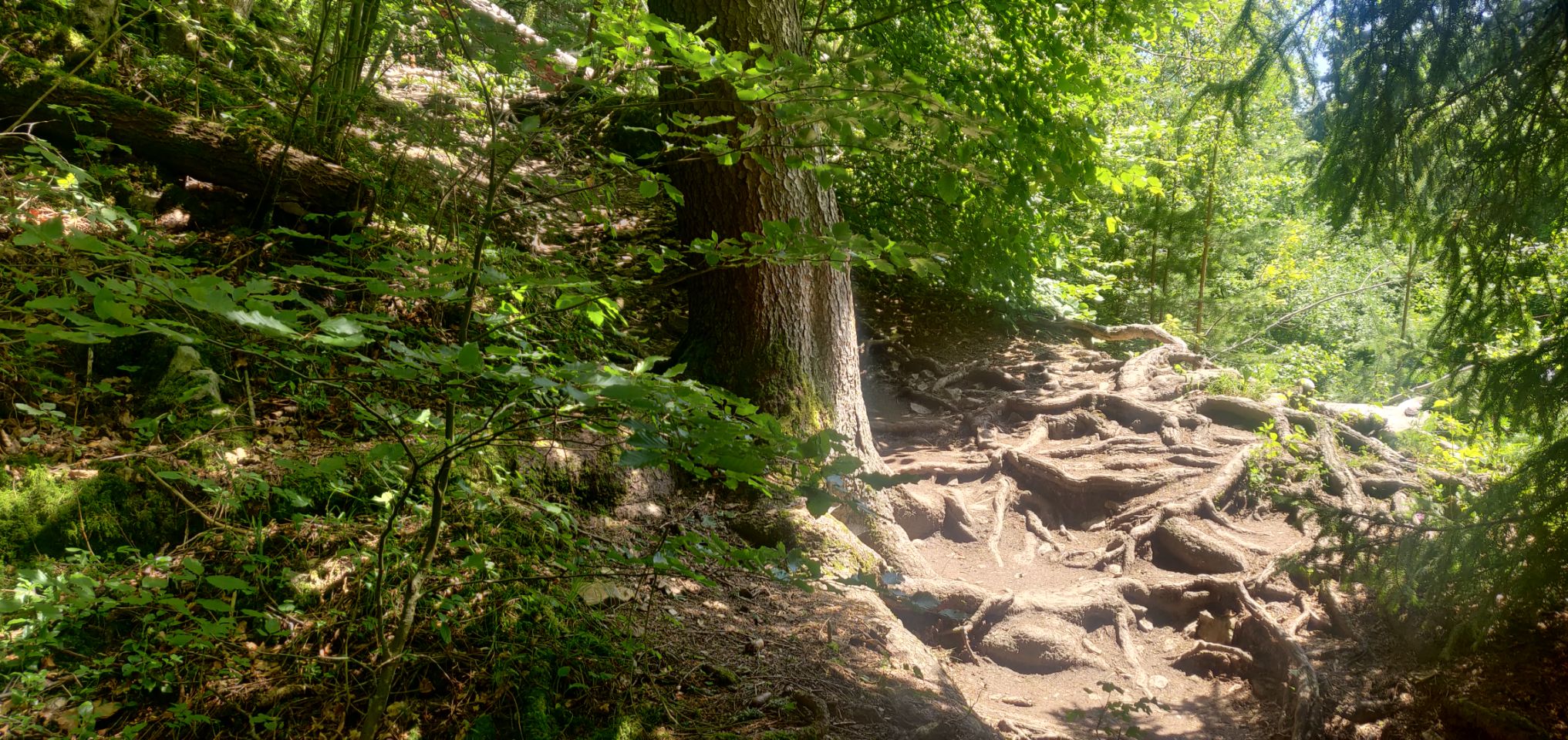 Foto bij Bonndorf im Schwarzwald