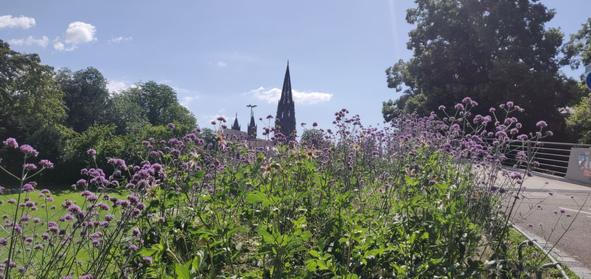 Foto bij Freiburg im Breisgau