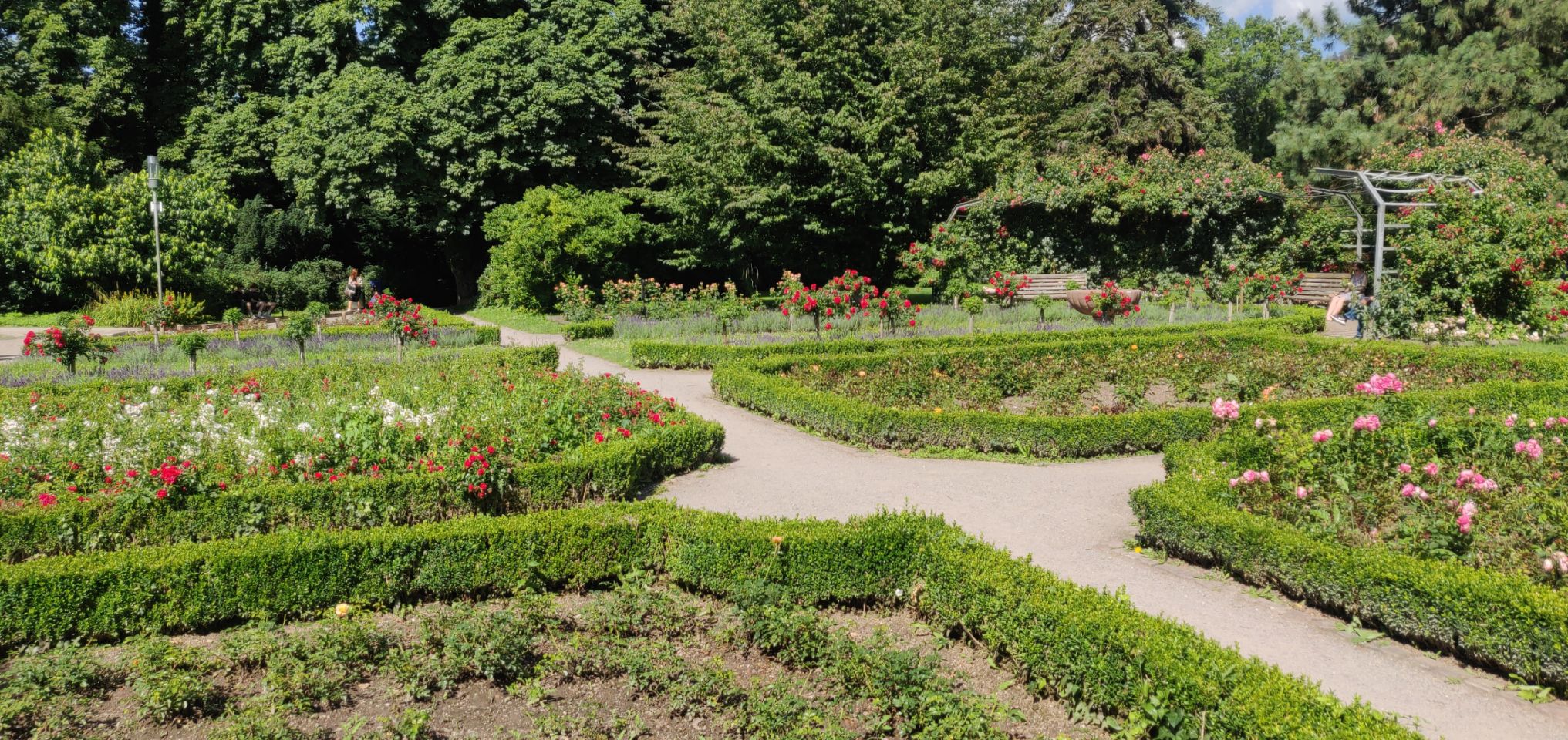 Foto bij Freiburg im Breisgau