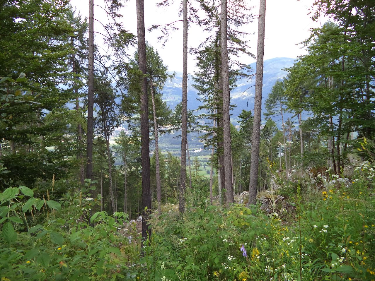 Foto bij Lienz