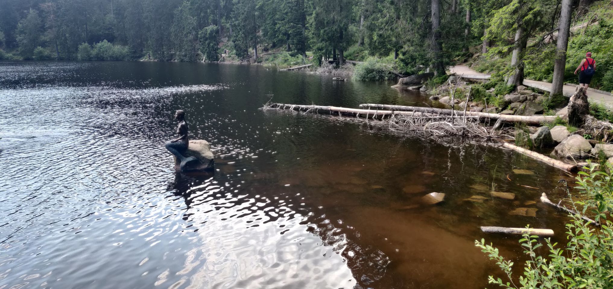 Foto bij Mummelsee