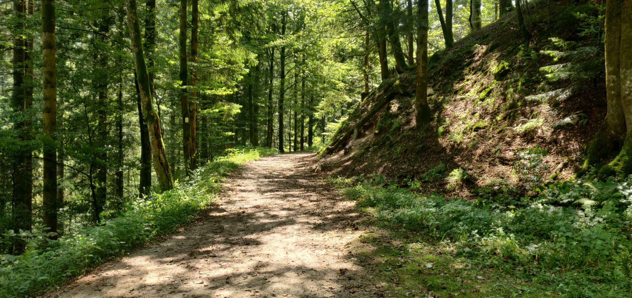Foto bij Allerheiligen